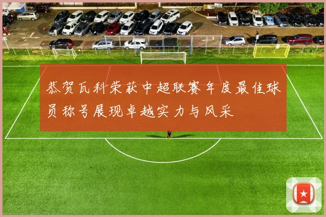恭贺瓦科荣获中超联赛年度最佳球员称号展现卓越实力与风采