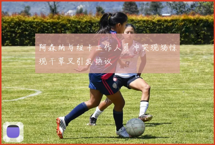 阿森纳与纽卡工作人员冲突现场惊现干草叉引发热议