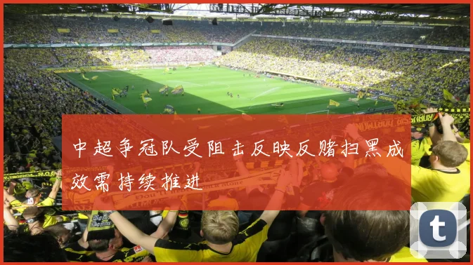 中超争冠队受阻击反映反赌扫黑成效需持续推进