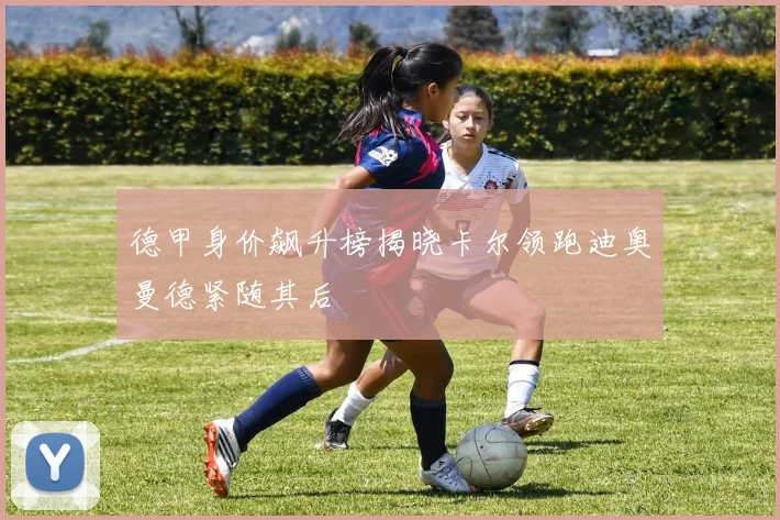 德甲身价飙升榜揭晓卡尔领跑迪奥曼德紧随其后