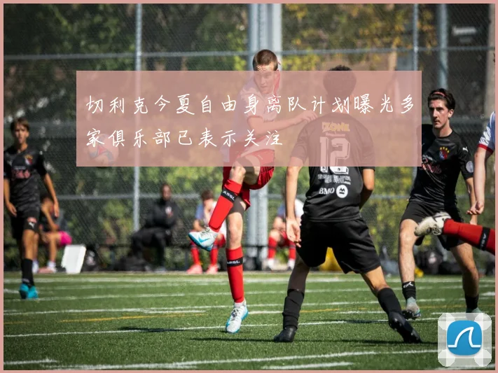 切利克今夏自由身离队计划曝光多家俱乐部已表示关注